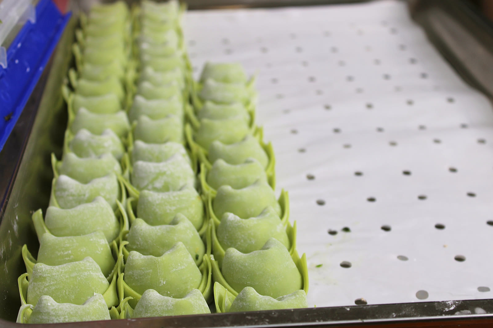 Freshly wrapped celery & pork wontons
